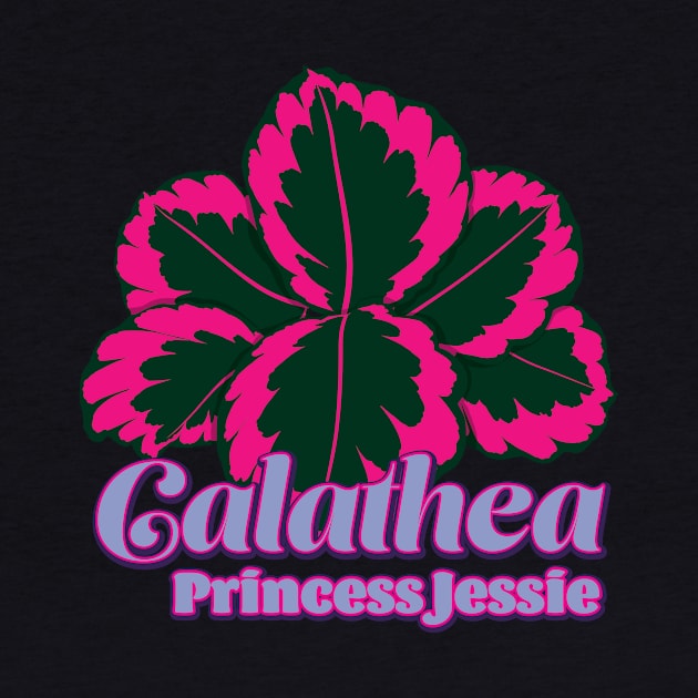 Calathea Princess Jessie by LEO+SKYLAR